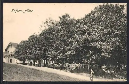 AK Sofien-Alpe, Strassenpartie