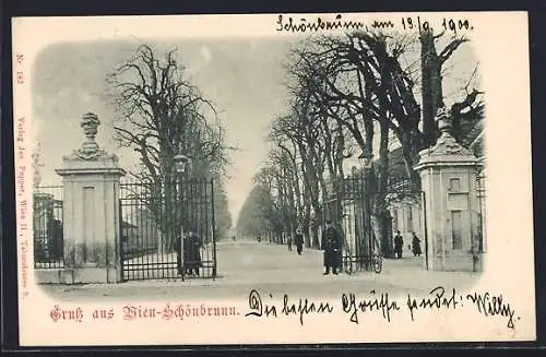 AK Wien-Schönbrunn, Eingangstor zu einer Allee