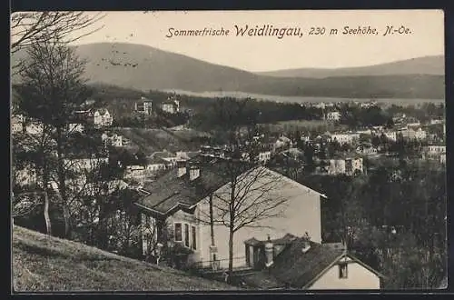 AK Weidlingau /N.-Oe., Ansicht vom Hang aus