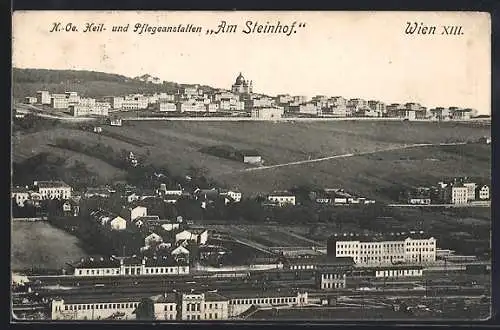 AK Wien /N.-Oe., Heil- und Pflegeanstalten Am Steinhof