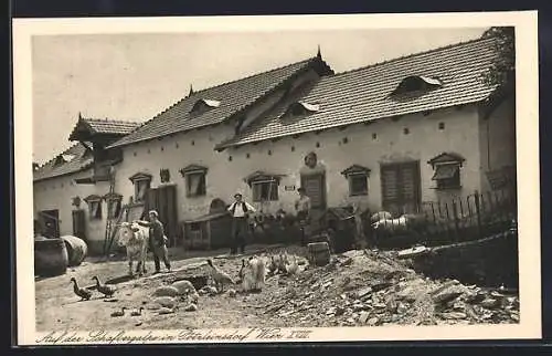 AK Wien-Pötzleinsdorf, Adolf Knorr's Hotel-Restaurant