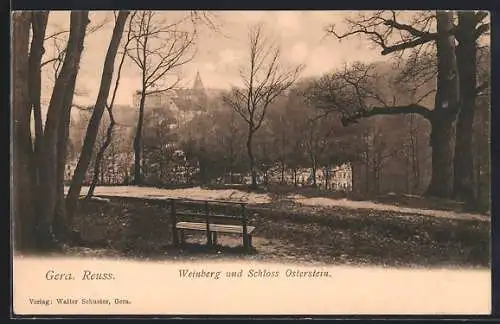 AK Gera-Reuss, Weinberg und Schloss Osterstein