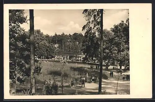 AK Berlin-Zehlendorf, Cafe-Restaurant Krumme Lanke, Fischerhüttenstrasse 139