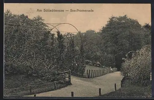 AK Berlin-Schlachtensee, See-Promenade