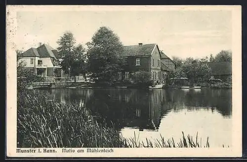 AK Munster i. Hann., Motiv am Mühlenteich