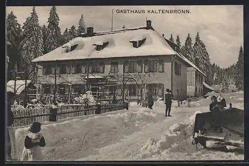 AK Kaltenbronn, Das Gasthaus im Winter