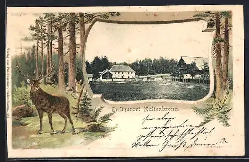 Lithographie Kaltenbronn, Ortspartie, Hirsch und Reh, Passepartout