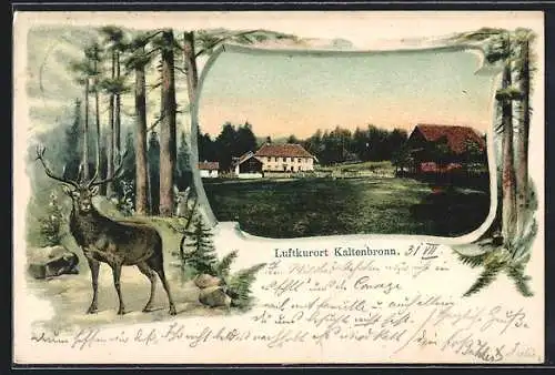 Lithographie Kaltenbronn, Ortspartie, Hirsch im Wald, Passepartout