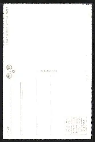 AK Seelisberg, Gesamtansicht mit Brunnen und Mythen aus der Vogelschau