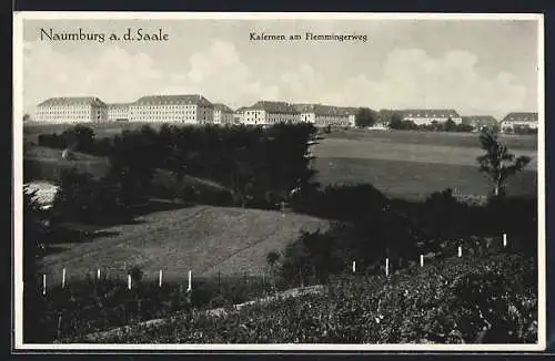 AK Naumburg (Saale), Ortsansicht aus der Ferne