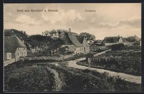 AK Norddorf /Amrum, Blick auf Friesische Häuser