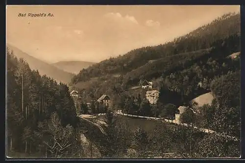 AK Bad Rippoldsau, Ortsansicht mit Bergpanorama