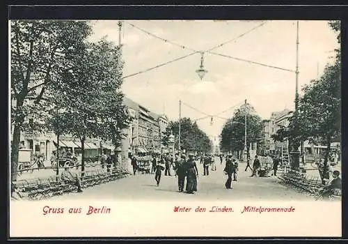 AK Berlin, Unter den Linden, Partie auf der Mittel-Promenade