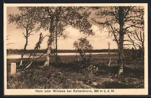 AK Kaltenbronn, Horn oder Wildsee, Partie