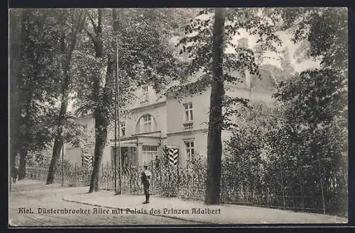 AK Kiel, Düsternbrooker Allee mit Palais des Prinzen Adalbert