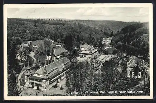 AK Alexisbad /Harz, Blick vom Birkenhäuschen