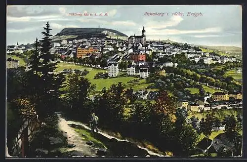 AK Annaberg i. sächs. Erzgebirge, Teilansicht mit Pöhlberg