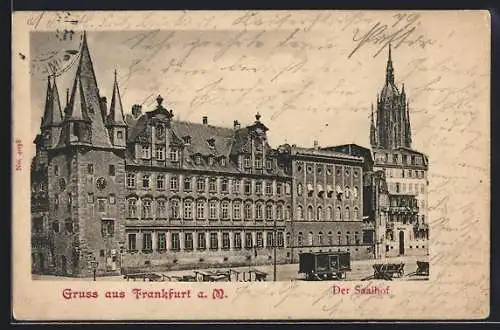 AK Alt-Frankfurt, Saalhof mit Kirchturm u. Strasse