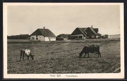 AK Sylt, Friesenhäuser und Kühe auf der Wiese