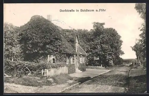 AK Boldixum, Blick in die Dorfstrasse