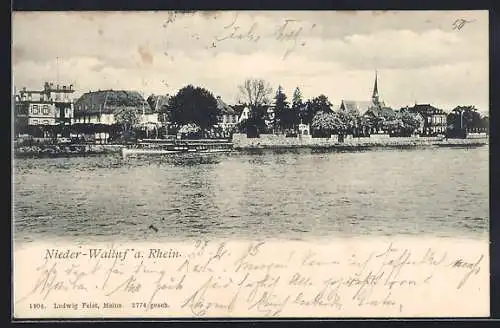 AK Nieder-Walluf a. Rhein, Ortsansicht vom Wasser aus