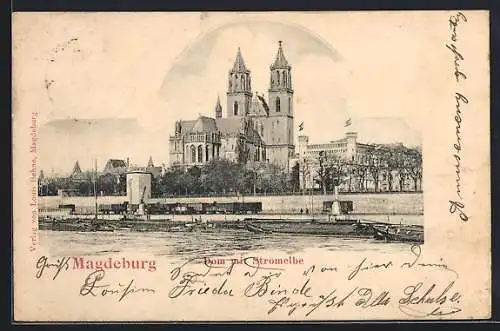 AK Magdeburg, Dom mit Stromelbe