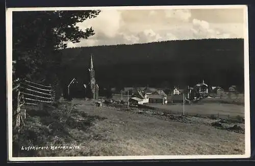 AK Herrenwies, Teilansicht mit Kirche