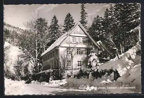 AK Seebach i. Schwarzwald, Gasthof Wolfsbrunnen im Schnee