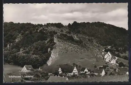 AK Indelhausen i. Lautertal, Teilansicht mit Waldhintergrund