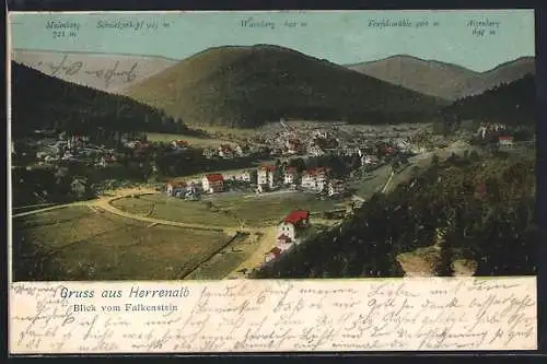 AK Herrenalb, Totalansicht vom Falkenstein aus