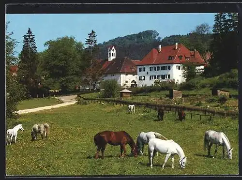 AK Gomadingen-Marbach, Gestüts-Gasthof Marbach, Bes. Fam. Eisenschmid