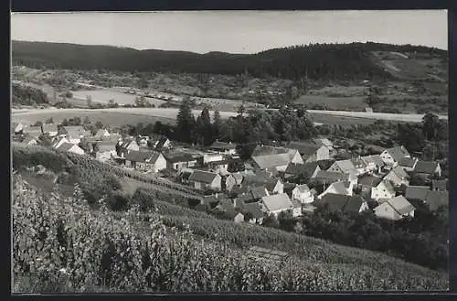 AK Helfenberg /Heilbronn, Ansicht vom Feld aus