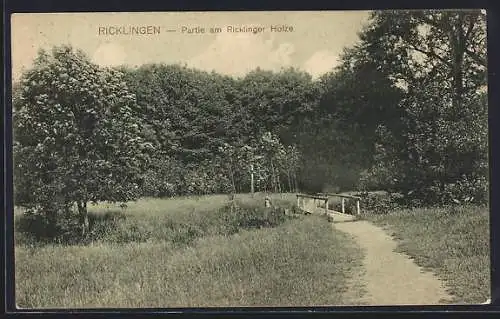 AK Ricklingen, Partie am Ricklinger Holze