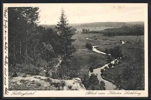 AK Fallingbostel, Blick vom Klinter Liethberg