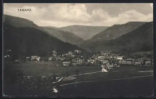 AK Tabarz, Ortsansicht mit Bergen