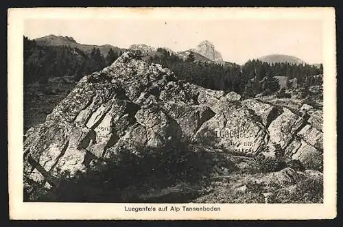 AK Alp Tannenboden, Partie am Luegenfels