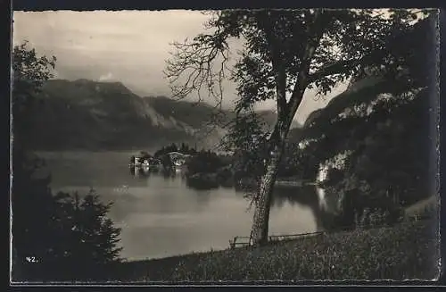 AK Iseltwald am Brienzersee, View of the Lek