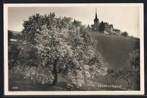 AK Féchy, L`Eglise, Prachtvoller Baum in Blüte