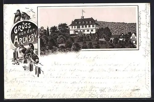 Lithographie Rinteln, Sicht zum Schloss Ahrensburg