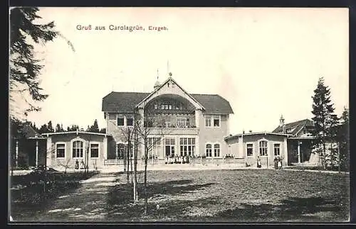 AK Carolagrün / Erzgeb., Ortspartie mit Gebäudeansicht