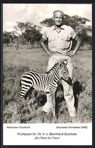 AK Professor Dr. Bernhard Grzimek mit einem Zebrafohlen, Ein Platz für Tiere