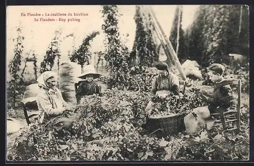 AK Women and children hop picking in Flanders