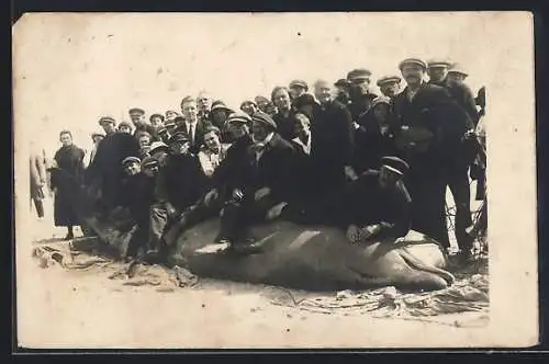 Foto-AK Menschengruppe an einem gefangenen Belugawal