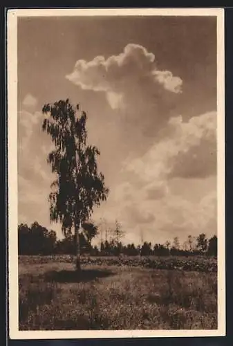 AK Abend im Spreewald, Ganzsache WHW Winterhilfswerk 1934 /35