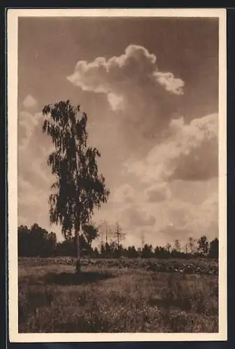 AK Abend im Spreewald, Ganzsache WHW Winterhilfswerk 1934 /35