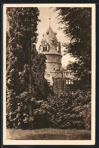 AK Detmold, Schloss, Ganzsache WHW Winterhilfswerk 1934 /35