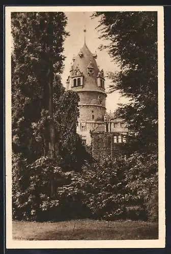 AK Detmold, Schloss, Ganzsache WHW Winterhilfswerk 1934 /35