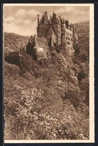 AK Eltz, Blick auf die Burg, Ganzsache WHW Winterhilfswerk 1934 /35