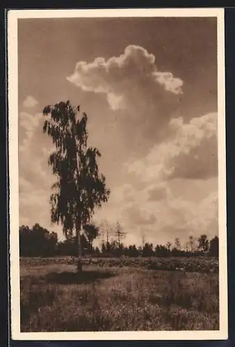 AK Abend im Spreewald, Ganzsache WHW Winterhilfswerk 1934 /35