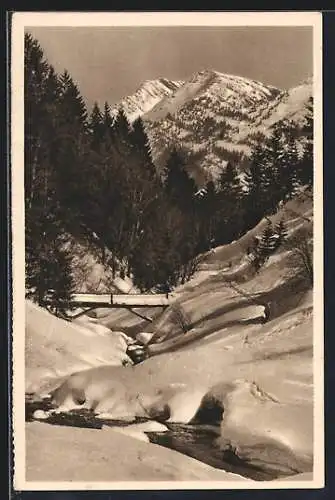 AK Rindalphorn /Allgäu, Ortspartie im Winter, Ganzsache WHW Winterhilfswerk 1934-35